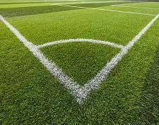 黄雅琼宣布,退出,奥运冠军及,博鱼体育官网,博鱼体育app,博鱼体育APP下载