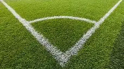 “黄雅琼宣布退出，奥运冠军及世界羽联联合发声——中国青年报报道” | 博鱼体育官网