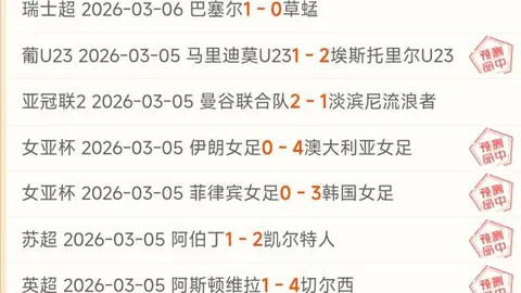 2025年新洲“新华杯”中小学生篮球赛火热开赛